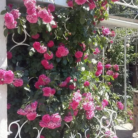 Cozy Near Arcadia Guest house *