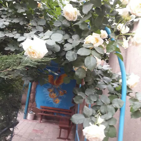 Guest house Cozy Near Arcadia Odesa